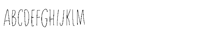 Privacy Filter Caps Regular FONT