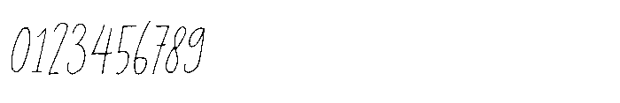 Privacy Filter Italic Font OTHER CHARS