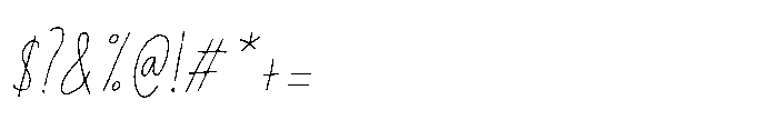 Privacy Filter Italic Font OTHER CHARS