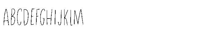 Privacy Filter Regular Font UPPERCASE