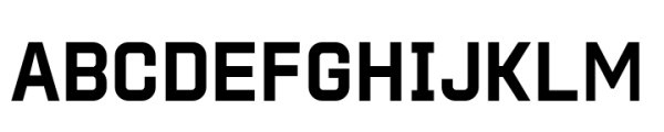 Protrakt Variable Bold Font UPPERCASE