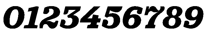 PracticalSerif BlackItalic Font OTHER CHARS