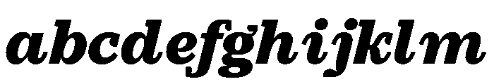 PracticalSerif BlackItalic FONT