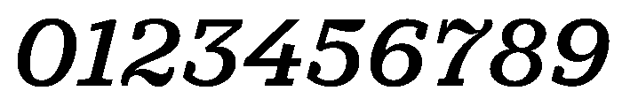PracticalSerif BoldItalic Font OTHER CHARS