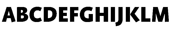 ProfileProSCTT Black Font UPPERCASE