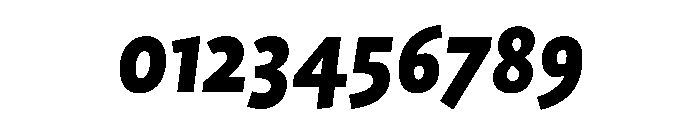 ProfileProSCTT BlackItalic Font OTHER CHARS