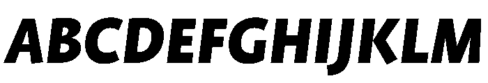 ProfileProSCTT BlackItalic Font UPPERCASE
