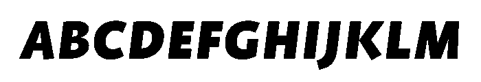 ProfileProSCTT BlackItalic FONT