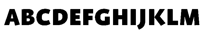 ProfileProSCTT Black FONT