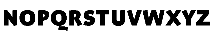 ProfileProSCTT Black Font LOWERCASE