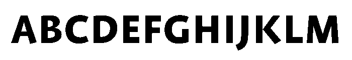 ProfileProSCTT Bold FONT