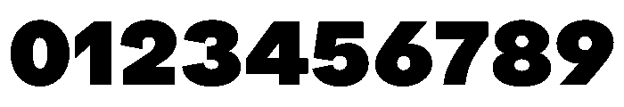 ProtestGrotesk Black Instance Font OTHER CHARS