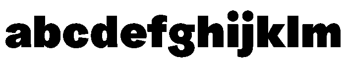 ProtestGrotesk Black Instance FONT