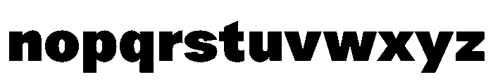 ProtestGrotesk Black Instance Font LOWERCASE