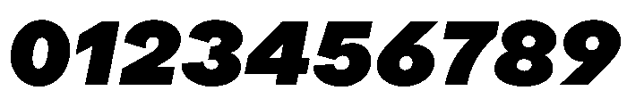 ProtestGrotesk BlackItalic Instance Font OTHER CHARS