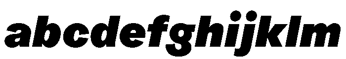 ProtestGrotesk BlackItalic Instance FONT