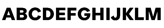 ProtestGrotesk Bold Instance Font UPPERCASE