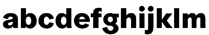 ProtestGrotesk Bold Instance FONT