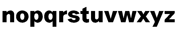 ProtestGrotesk Bold Instance Font LOWERCASE