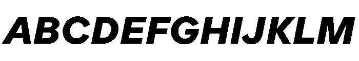 ProtestGrotesk BoldItalic Instance Font UPPERCASE