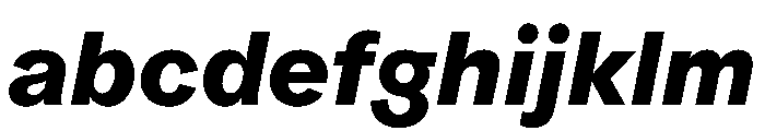 ProtestGrotesk BoldItalic Instance FONT