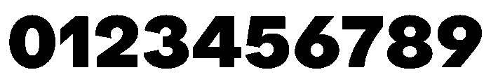ProtestGrotesk Heavy Instance Font OTHER CHARS