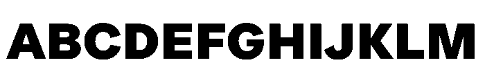 ProtestGrotesk Heavy Instance Font UPPERCASE