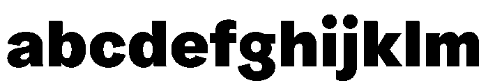 ProtestGrotesk Heavy Instance FONT
