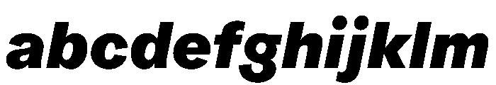 ProtestGrotesk HeavyItalic Instance FONT