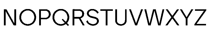 ProtestGrotesk Light Instance Font UPPERCASE