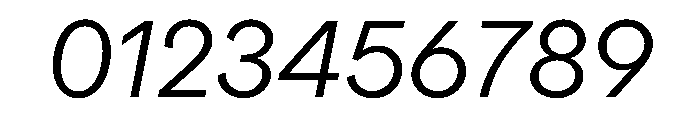 ProtestGrotesk LightItalic Instance Font OTHER CHARS