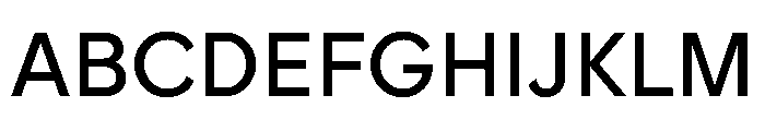 ProtestGrotesk Regular Instance Font UPPERCASE