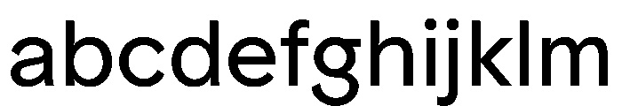ProtestGrotesk Regular Instance FONT