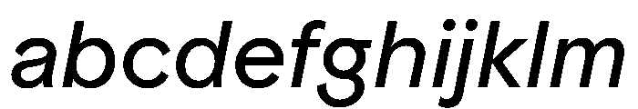 ProtestGrotesk RegularItalic Instance FONT