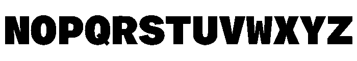 ProtestGroteskMono Black Instance Font UPPERCASE