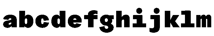 ProtestGroteskMono Black Instance FONT