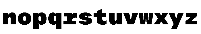 ProtestGroteskMono Black Instance Font LOWERCASE