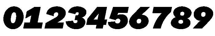ProtestGroteskMono BlackItalic Instance Font OTHER CHARS