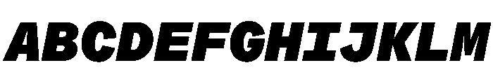 ProtestGroteskMono BlackItalic Instance Font UPPERCASE