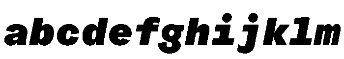 ProtestGroteskMono BlackItalic Instance FONT