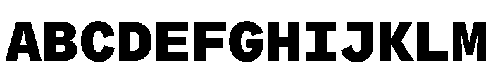 ProtestGroteskMono Heavy Instance Font UPPERCASE