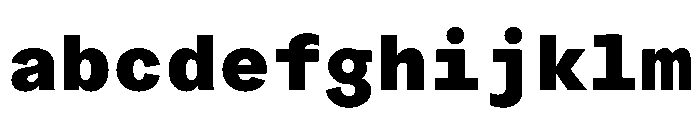 ProtestGroteskMono Heavy Instance FONT