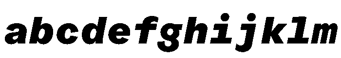 ProtestGroteskMono HeavyItalic Instance FONT