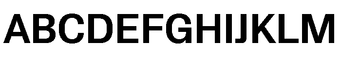 Protokoll Bold Font UPPERCASE