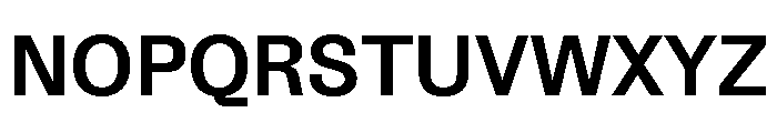 Protokoll Bold Font UPPERCASE