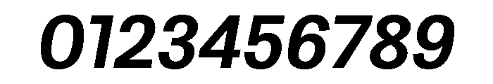 Protokoll BoldItalic Font OTHER CHARS
