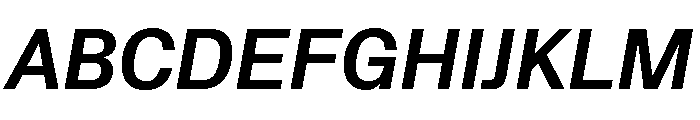 Protokoll BoldItalic Font UPPERCASE