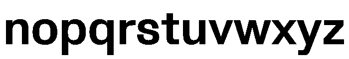 Protokoll Bold Font LOWERCASE
