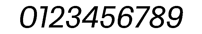 Protokoll Italic Font OTHER CHARS