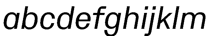 Protokoll Italic FONT